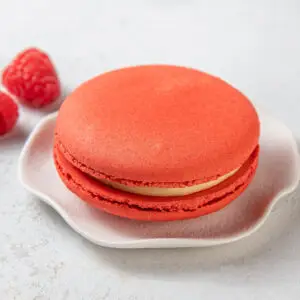 Large Raspberry Cheesecake Macaron